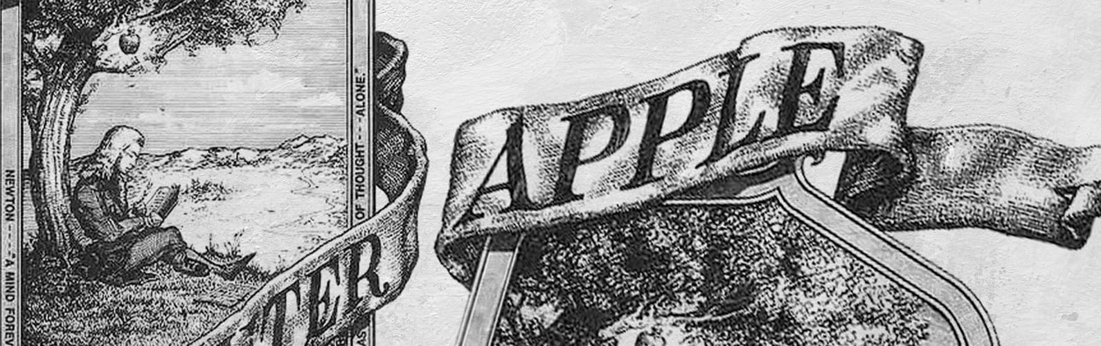 article banner